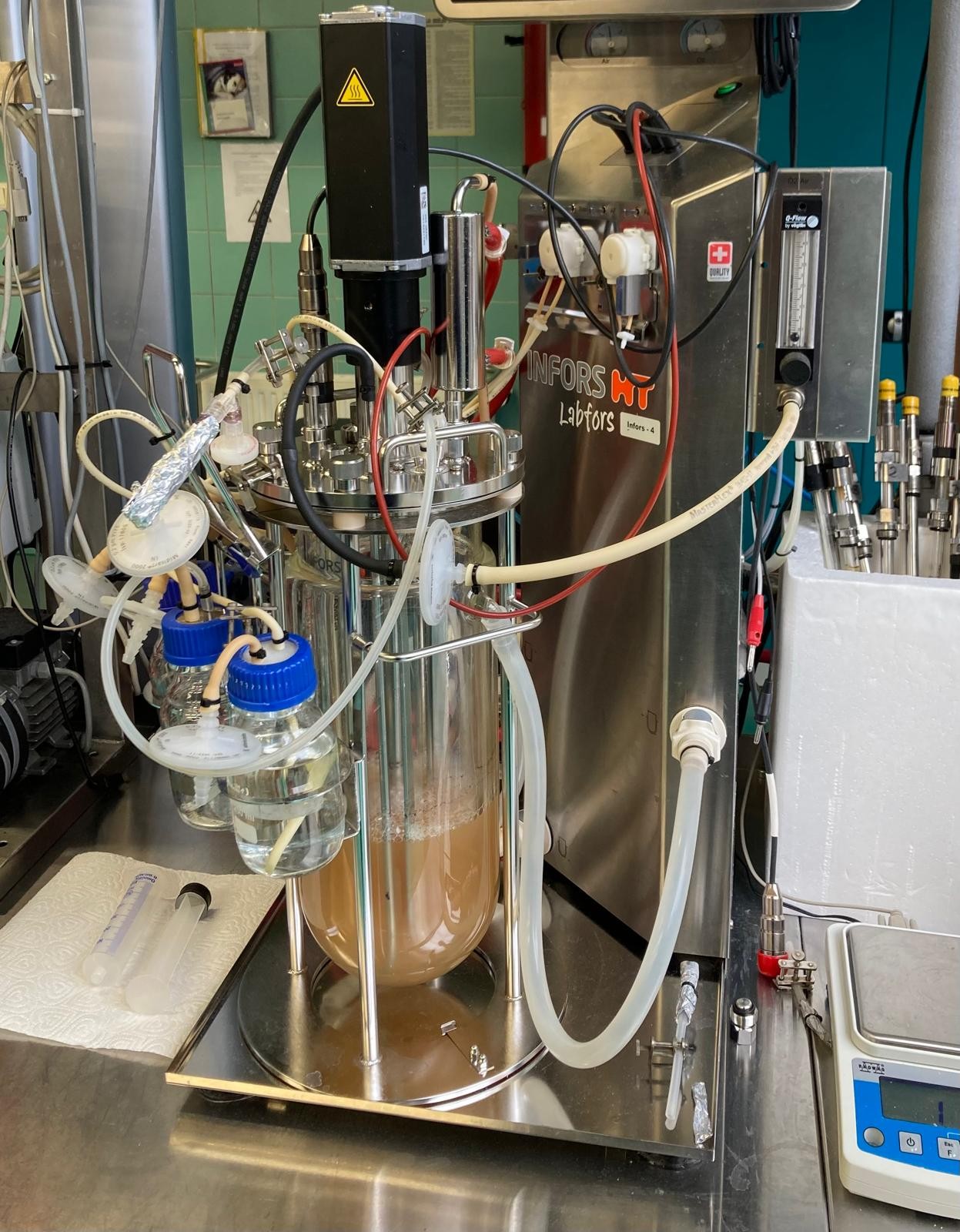 Laboratorium EcoBen – analiza próbek
