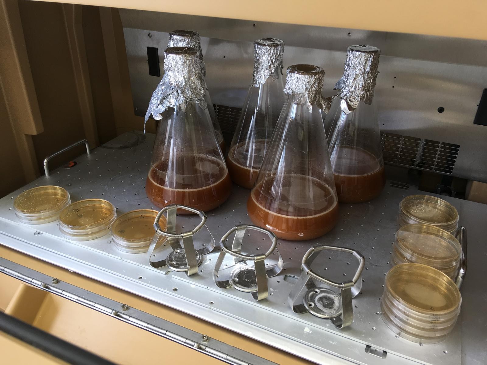 Laboratorium EcoBen – kontrola jakości