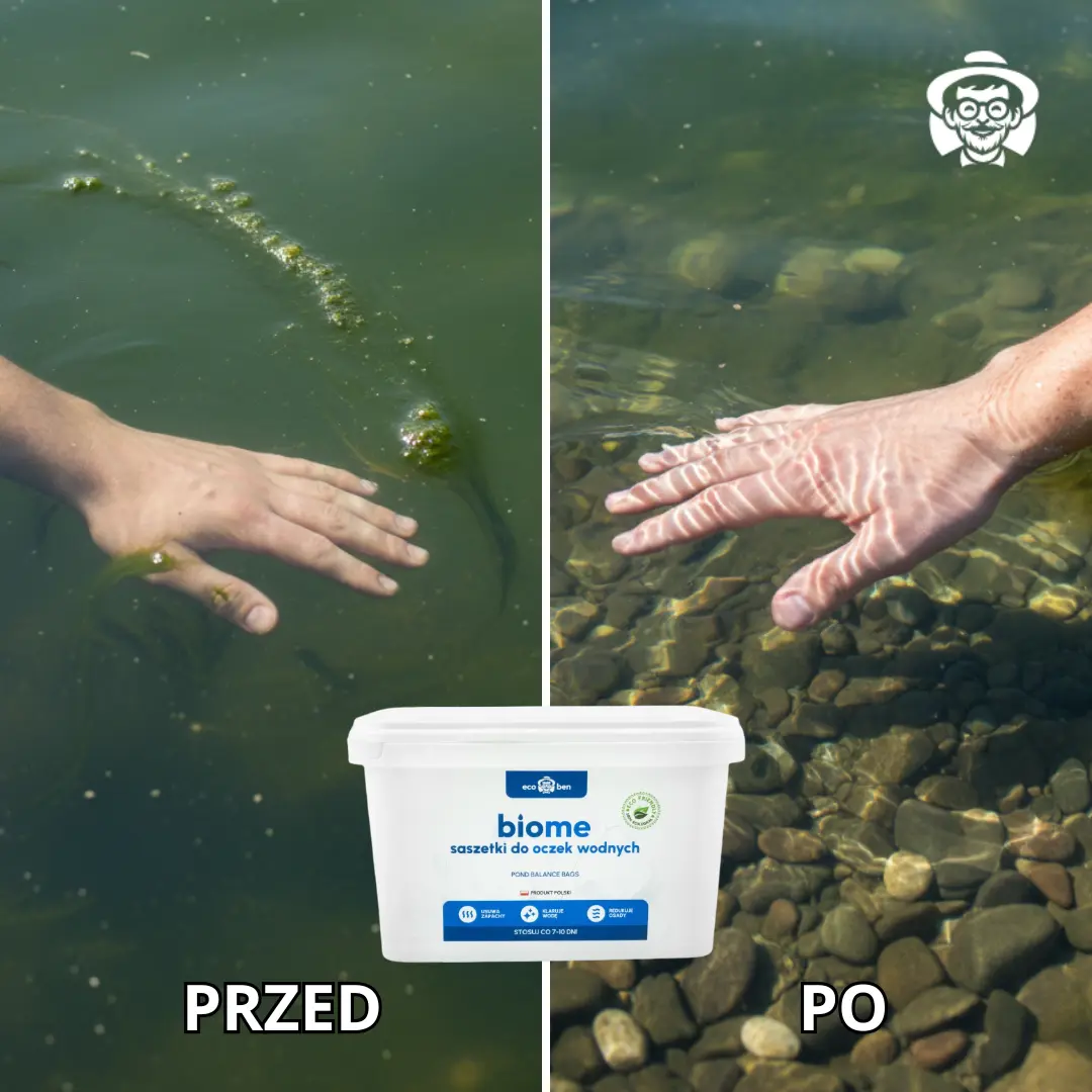 Oczko wodne przed zastosowaniem BioMe — mętna, zielona woda