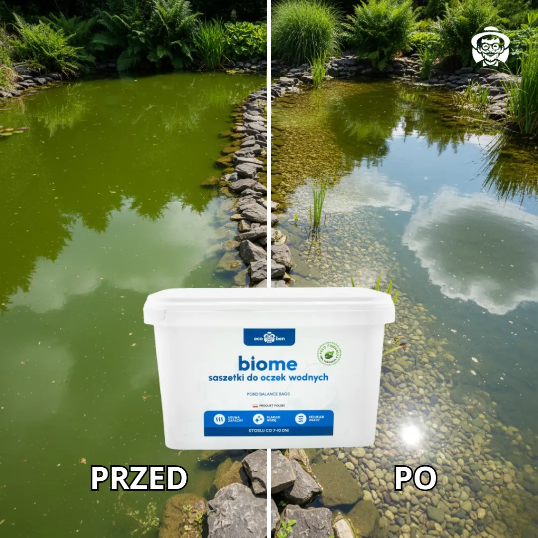 BioMe do oczek wodnych — działanie bakterii i enzymów