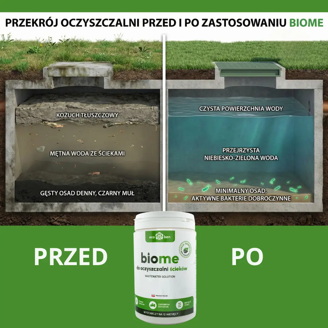 Przekrój dwóch zbiorników oczyszczalni: z kożuchem, mętną wodą i grubym osadem oraz z czystszą wodą i cienką warstwą osadu