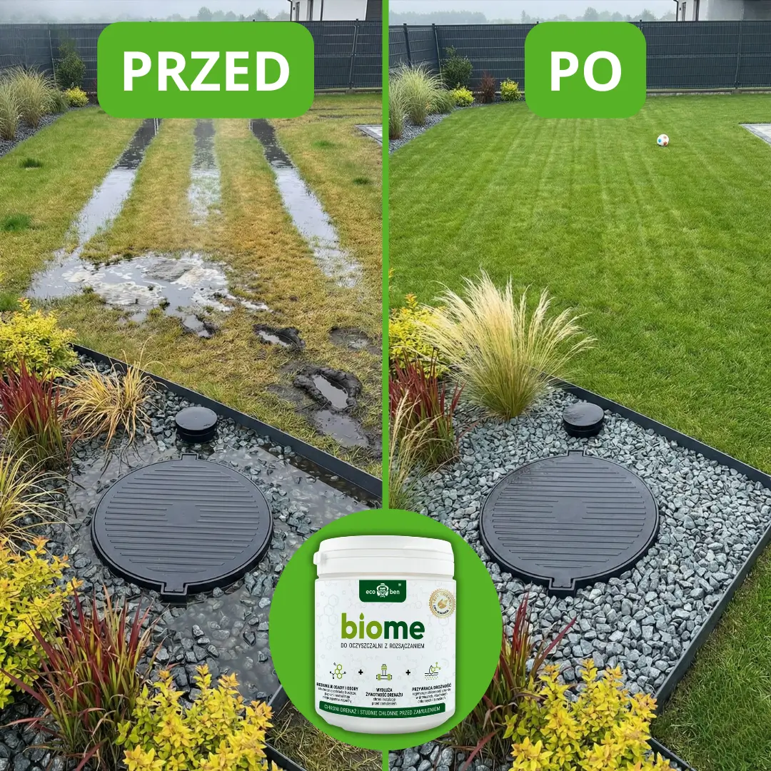 Efekty stosowania BioMe do oczyszczalni z rozsączaniem — przed i po