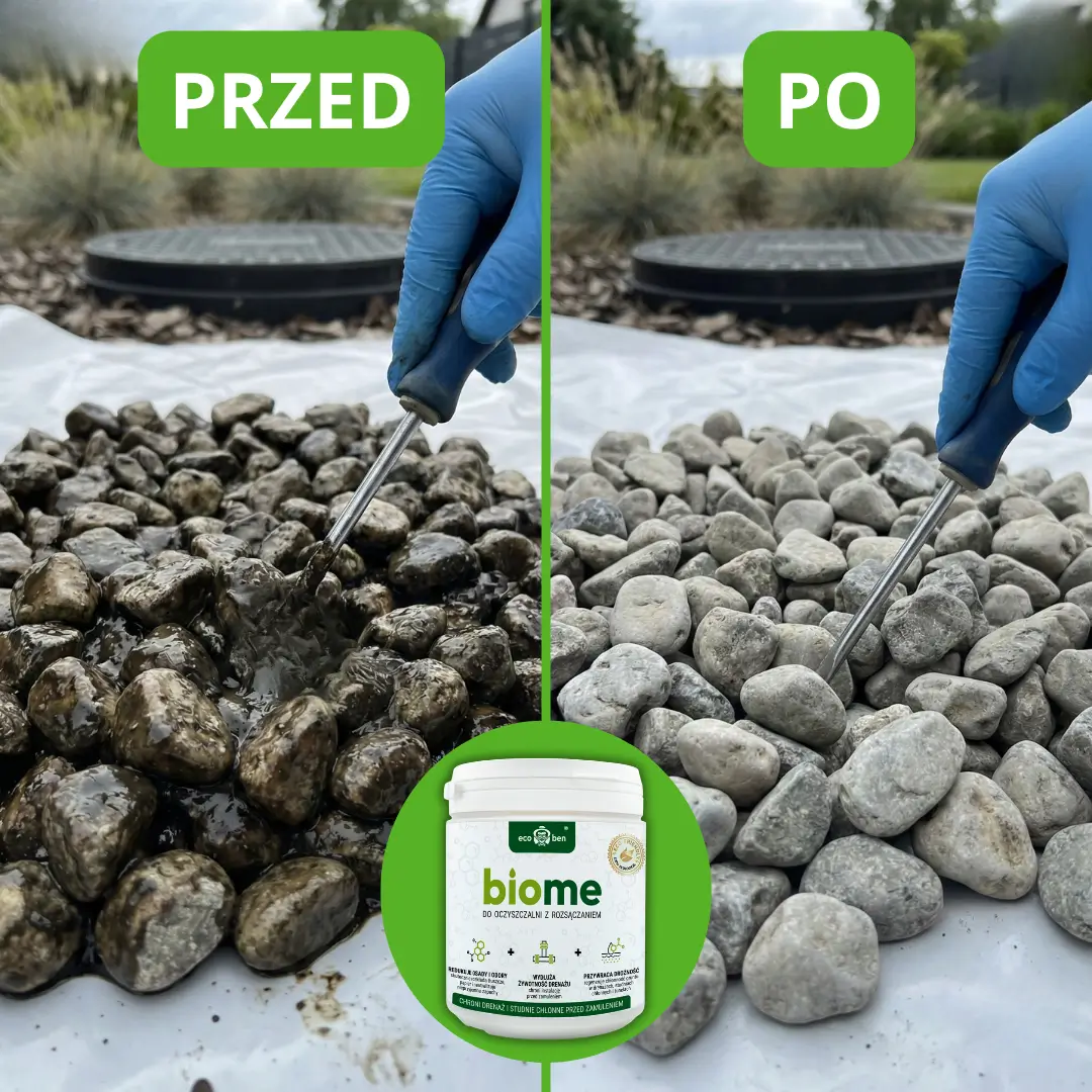 BioMe bakterie i enzymy — mechanizm działania w oczyszczalni z rozsączaniem